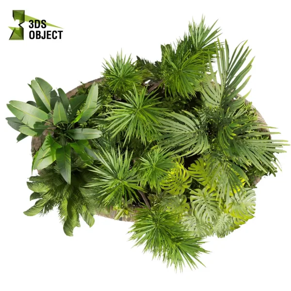 3d garden plant models botanical Visualization Landscape Foliage Vegetation Rendering Environment tree Design high poly bush dracena monstera banana palm corton Virtual Garden Design Botanical Simulation Plant Visualization Vegetation Modeling cinema 4d 3ds max blender enscpae fbx obj Rhino Sketchup lumion