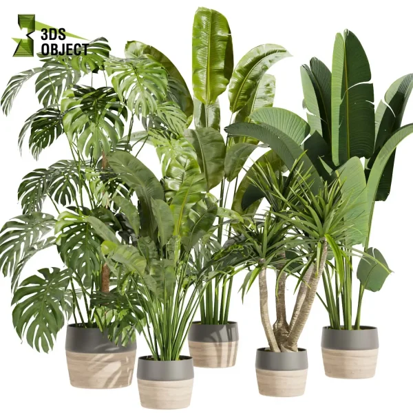 3d model plant pot free Banana monstera dracena trunk bark botanical architecture simulator
