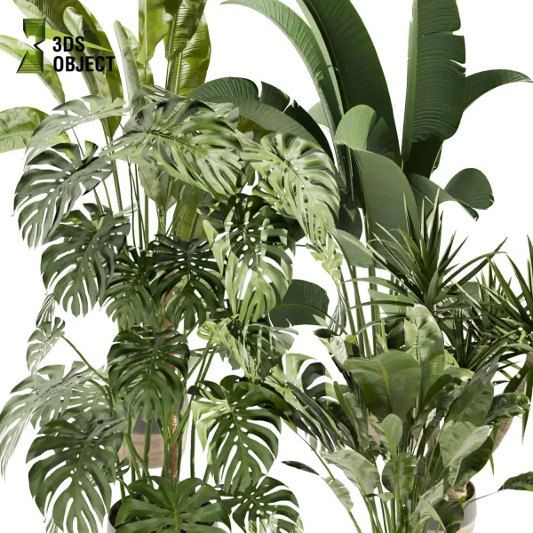 3d model plant pot free Banana monstera dracena trunk bark botanical architecture simulator