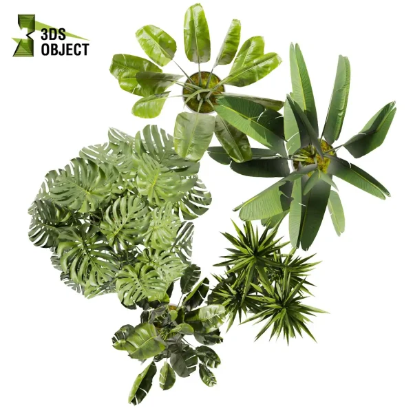 3d model plant pot free Banana monstera dracena trunk bark botanical architecture simulator