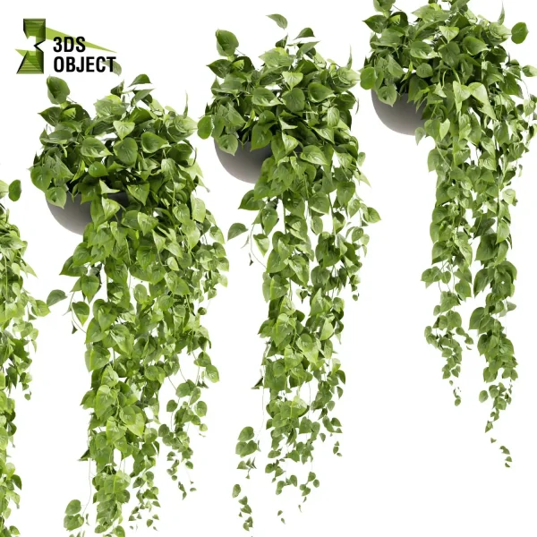 3d model plant hanging free Botanical Models pothos, devil's ivy Greenery Assets Flora Objects Tree Models Shrubbery Assets Grass Models 3D Tree Generator 3D architectural visualization cinema 4d 3ds max blender enscape fbx obj Rhino Sketchup lumion low poly purchase