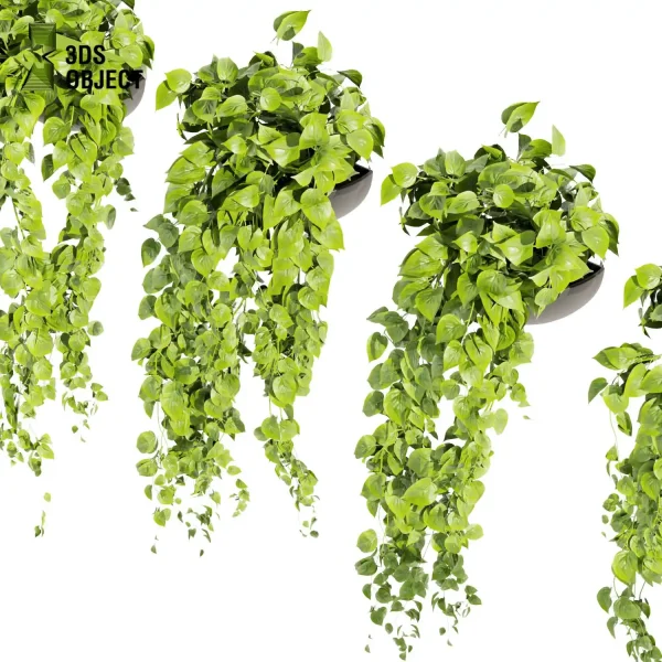 3d model plant hanging free Botanical Models pothos, devil's ivy Greenery Assets Flora Objects Tree Models Shrubbery Assets Grass Models 3D Tree Generator 3D architectural visualization cinema 4d 3ds max blender enscape fbx obj Rhino Sketchup lumion low poly purchase