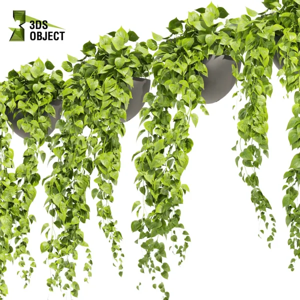 3d model plant hanging free Botanical Models pothos, devil's ivy Greenery Assets Flora Objects Tree Models Shrubbery Assets Grass Models 3D Tree Generator 3D architectural visualization cinema 4d 3ds max blender enscape fbx obj Rhino Sketchup lumion low poly purchase