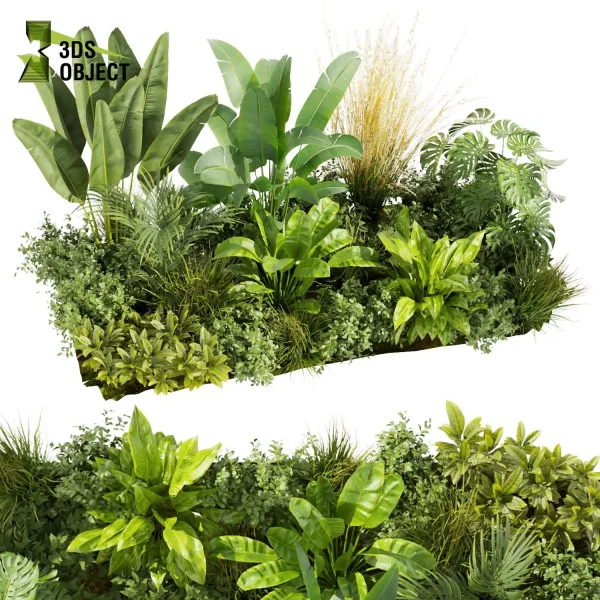 3d garden plant models botanical Visualization Landscape Foliage Vegetation Rendering Environment tree Design high poly bush banana monstera corton pampas 3D architectural visualization cinema 4d 3ds max blender enscpae fbx obj Rhino Sketchup lumion Virtual Garden Design Botanical Simulation Plant Visualization Vegetation Modeling