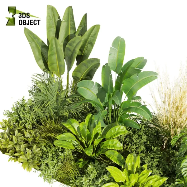 3d garden plant models botanical Visualization Landscape Foliage Vegetation Rendering Environment tree Design high poly bush banana monstera corton pampas 3D architectural visualization cinema 4d 3ds max blender enscpae fbx obj Rhino Sketchup lumion Virtual Garden Design Botanical Simulation Plant Visualization Vegetation Modeling