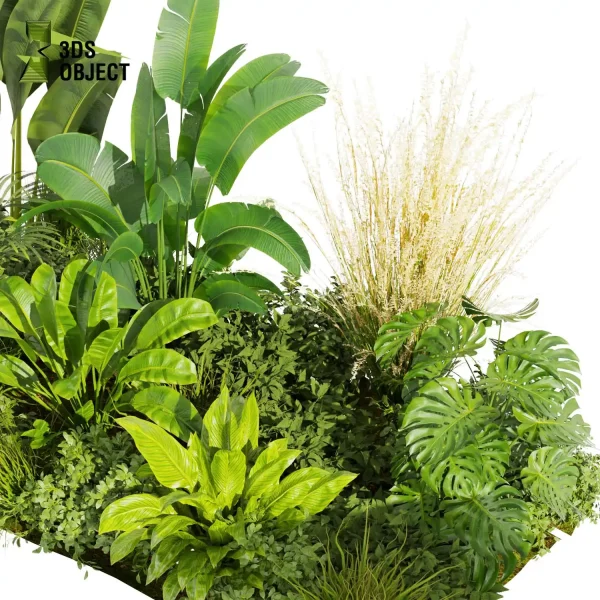 3d garden plant models botanical Visualization Landscape Foliage Vegetation Rendering Environment tree Design high poly bush banana monstera corton pampas 3D architectural visualization cinema 4d 3ds max blender enscpae fbx obj Rhino Sketchup lumion Virtual Garden Design Botanical Simulation Plant Visualization Vegetation Modeling