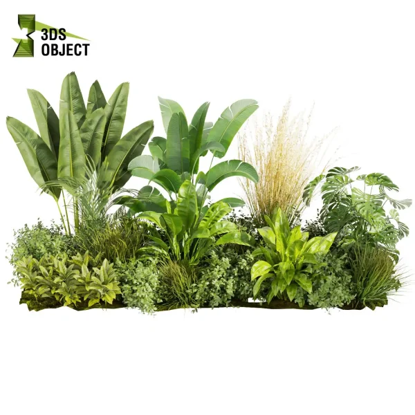 3d garden plant models botanical Visualization Landscape Foliage Vegetation Rendering Environment tree Design high poly bush banana monstera corton pampas 3D architectural visualization cinema 4d 3ds max blender enscpae fbx obj Rhino Sketchup lumion Virtual Garden Design Botanical Simulation Plant Visualization Vegetation Modeling