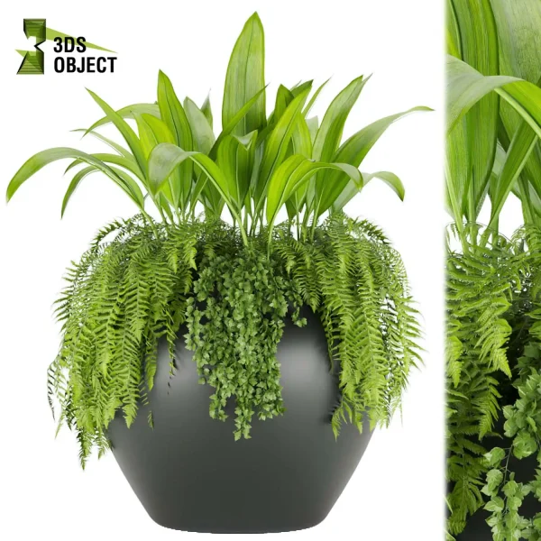 3d model plant free Vegetation tree box Foliage Tropical banana fern 3D Plant Creation Virtual Garden Design Botanical Simulation Plant Visualization Vegetation Modeling 3D architectural visualization purchase cinema 4d 3ds max blender enscape fbx obj Rhino Sketchup lumion