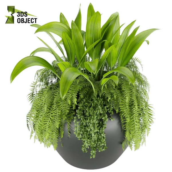 3d model plant free Vegetation tree box Foliage Tropical banana fern 3D Plant Creation Virtual Garden Design Botanical Simulation Plant Visualization Vegetation Modeling 3D architectural visualization purchase cinema 4d 3ds max blender enscape fbx obj Rhino Sketchup lumion