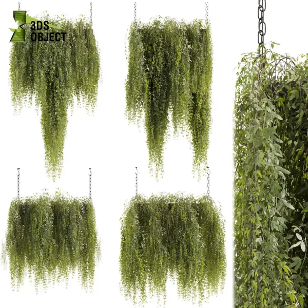 3d model plant hanging free Botanical Models interior visualization landscape Plant Models Foliage Assets Botanical Models Greenery Assets Flora Objects cinema 4d 3ds max blender enscape fbx obj Rhino Sketchup lumion purchase