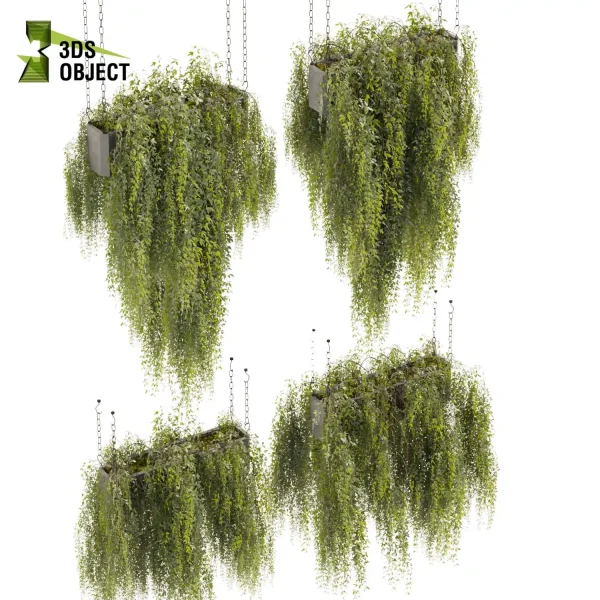 3d model plant hanging free Botanical Models interior visualization landscape Plant Models Foliage Assets Botanical Models Greenery Assets Flora Objects cinema 4d 3ds max blender enscape fbx obj Rhino Sketchup lumion purchase