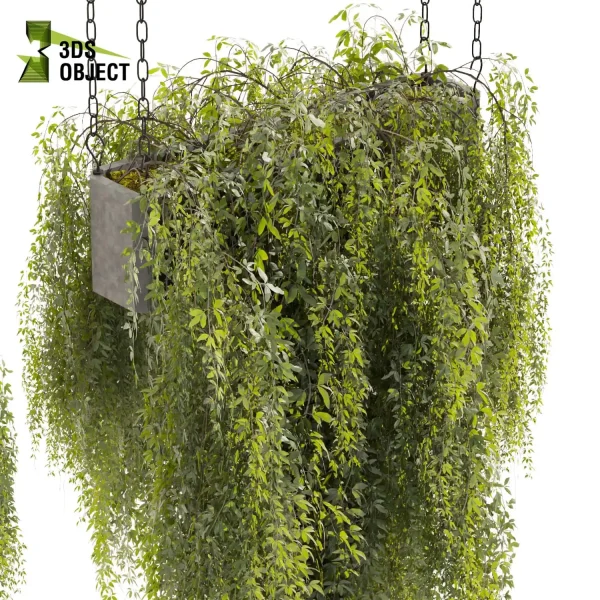 3d model plant hanging free Botanical Models interior visualization landscape Plant Models Foliage Assets Botanical Models Greenery Assets Flora Objects cinema 4d 3ds max blender enscape fbx obj Rhino Sketchup lumion purchase