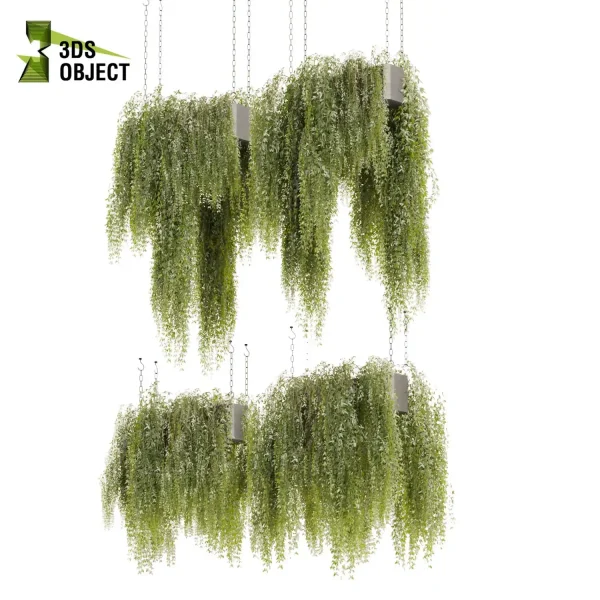 3d model plant hanging free Botanical Models interior visualization landscape Plant Models Foliage Assets Botanical Models Greenery Assets Flora Objects cinema 4d 3ds max blender enscape fbx obj Rhino Sketchup lumion purchase