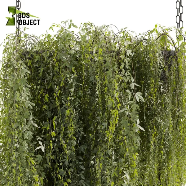3d model plant hanging free Botanical Models interior visualization landscape Plant Models Foliage Assets Botanical Models Greenery Assets Flora Objects cinema 4d 3ds max blender enscape fbx obj Rhino Sketchup lumion purchase