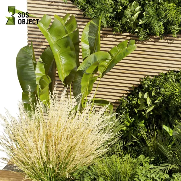 3d garden plant models botanical Visualization Landscape Foliage Vegetation Rendering Environment tree Design high poly Bush pampas banana monstera palm grass cinema 4d 3ds max blender enscpae fbx obj Rhino Sketchup lumion