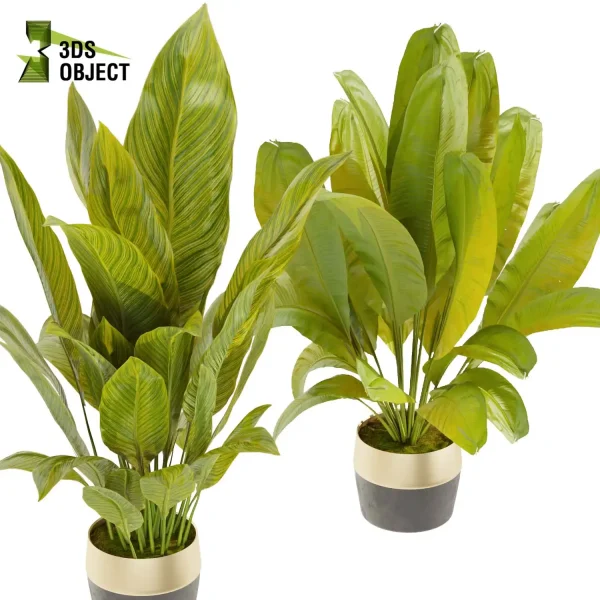 3d model plant pot free Banana 3Dmodeling purchase vegetation modeling tool