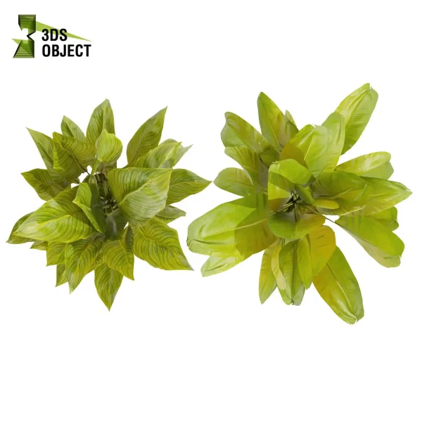 3d model plant pot free Banana 3Dmodeling purchase vegetation modeling tool