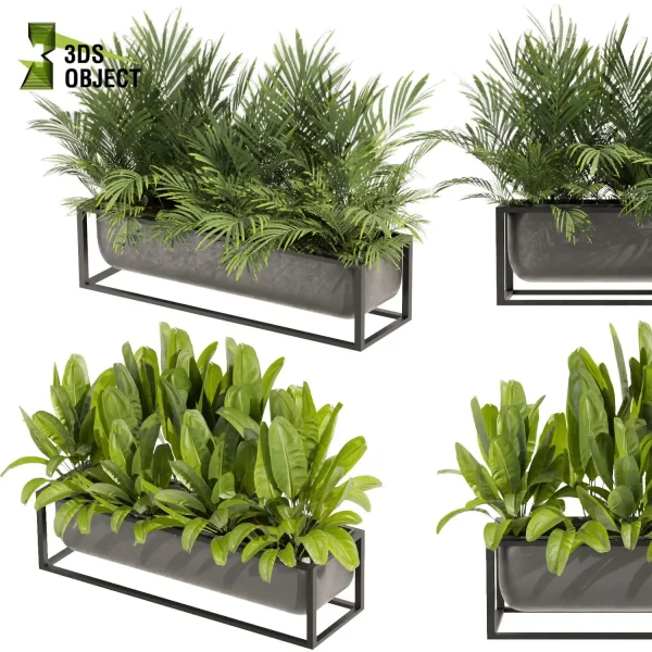 3d model plant free Vegetation tree box Foliage Palm banana low poly planter pot greenhouse balcony decorative hamedorea Botanical Rendering Nature Simulation Plant Modeling Software 3D Garden Design Forest Simulation 3D Tree Generator Landscape Design Software cinema 4d 3ds max blender enscape fbx obj Rhino Sketchup lumion box purchase