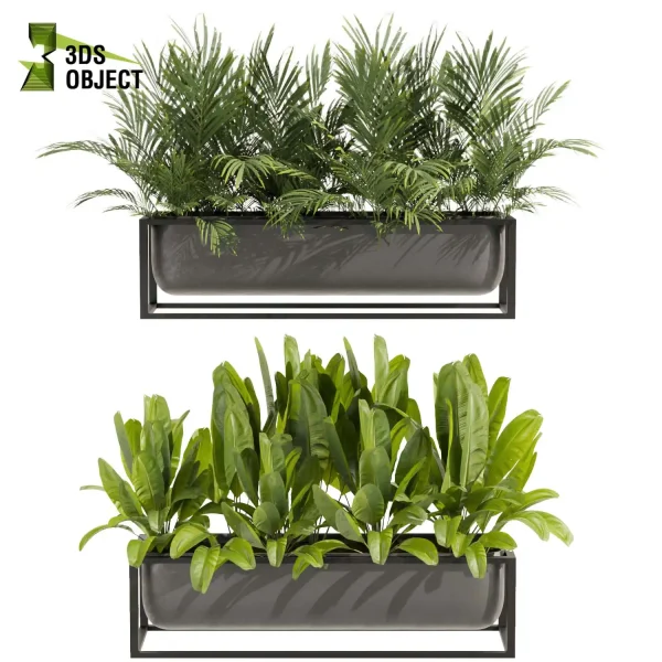 3d model plant free Vegetation tree box Foliage Palm banana low poly planter pot greenhouse balcony decorative hamedorea Botanical Rendering Nature Simulation Plant Modeling Software 3D Garden Design Forest Simulation 3D Tree Generator Landscape Design Software cinema 4d 3ds max blender enscape fbx obj Rhino Sketchup lumion box purchase