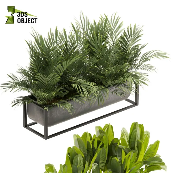 3d model plant free Vegetation tree box Foliage Palm banana low poly planter pot greenhouse balcony decorative hamedorea Botanical Rendering Nature Simulation Plant Modeling Software 3D Garden Design Forest Simulation 3D Tree Generator Landscape Design Software cinema 4d 3ds max blender enscape fbx obj Rhino Sketchup lumion box purchase