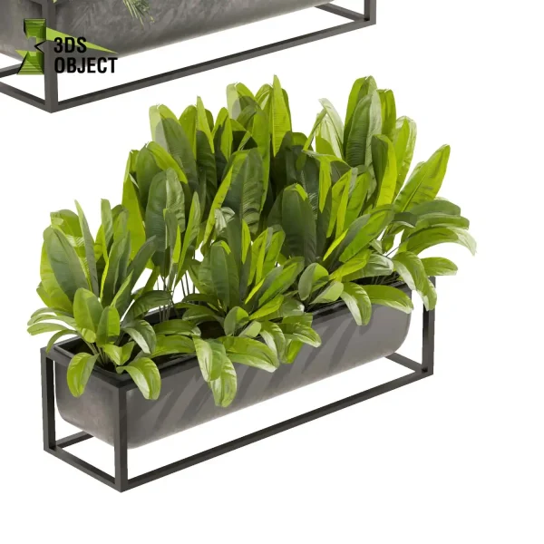 3d model plant free Vegetation tree box Foliage Palm banana low poly planter pot greenhouse balcony decorative hamedorea Botanical Rendering Nature Simulation Plant Modeling Software 3D Garden Design Forest Simulation 3D Tree Generator Landscape Design Software cinema 4d 3ds max blender enscape fbx obj Rhino Sketchup lumion box purchase