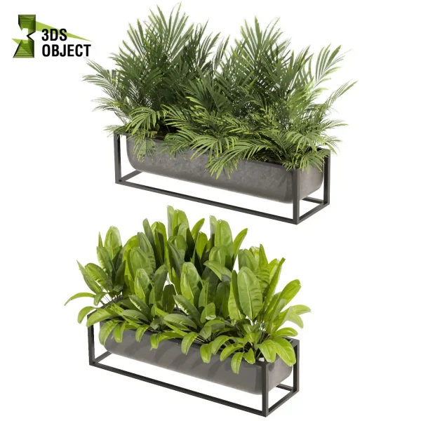 3d model plant free Vegetation tree box Foliage Palm banana low poly planter pot greenhouse balcony decorative hamedorea Botanical Rendering Nature Simulation Plant Modeling Software 3D Garden Design Forest Simulation 3D Tree Generator Landscape Design Software cinema 4d 3ds max blender enscape fbx obj Rhino Sketchup lumion box purchase