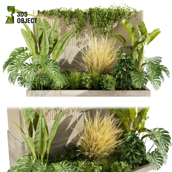 3d garden plant models botanical Visualization Landscape Foliage Vegetation Rendering Environment tree Design high Bush ivy banana monstera pampas rubber Botanical Simulation Plant Visualization Vegetation Modeling cinema 4d 3ds max blender enscpae fbx obj Rhino Sketchup lumion architectural