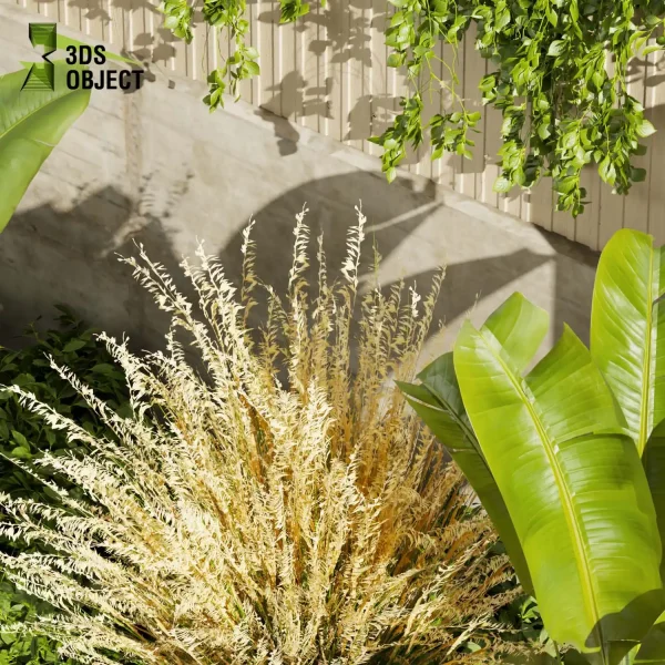 3d garden plant models botanical Visualization Landscape Foliage Vegetation Rendering Environment tree Design high Bush ivy banana monstera pampas rubber Botanical Simulation Plant Visualization Vegetation Modeling cinema 4d 3ds max blender enscpae fbx obj Rhino Sketchup lumion architectural