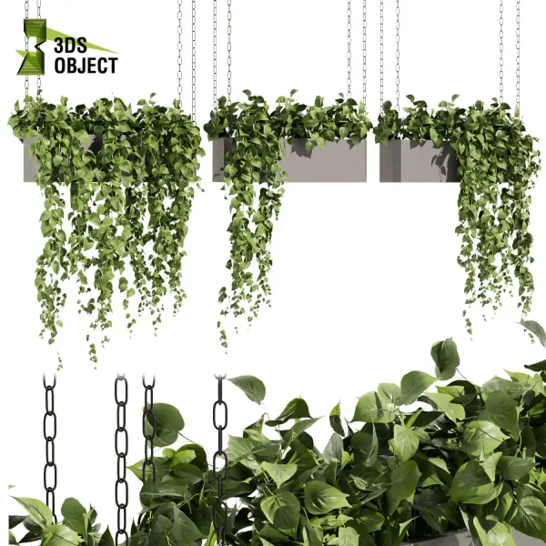 3d model plant hanging free Botanical Models pothos devil's ivy 3D Hanging Vegetation Plant Models Foliage Assets Botanical Models Greenery Assets Flora Objects Vine Models Garden Assets cinema 4d 3ds max blender enscape fbx obj Rhino Sketchup lumion purchase low poly