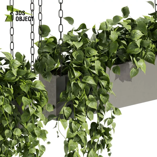 3d model plant hanging free Botanical Models pothos devil's ivy 3D Hanging Vegetation Plant Models Foliage Assets Botanical Models Greenery Assets Flora Objects Vine Models Garden Assets cinema 4d 3ds max blender enscape fbx obj Rhino Sketchup lumion purchase low poly