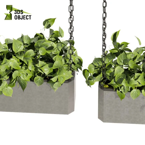 3d model plant hanging free Botanical Models pothos devil's ivy 3D Hanging Vegetation Plant Models Foliage Assets Botanical Models Greenery Assets Flora Objects Vine Models Garden Assets cinema 4d 3ds max blender enscape fbx obj Rhino Sketchup lumion purchase low poly