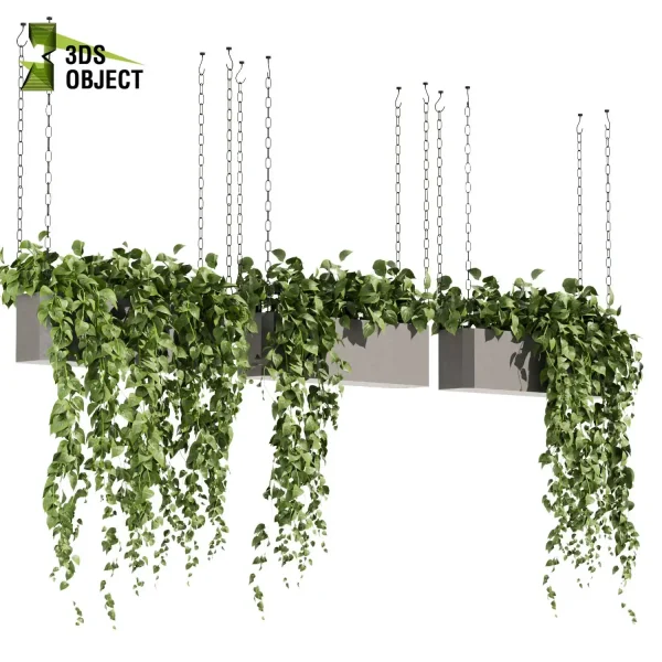3d model plant hanging free Botanical Models pothos devil's ivy 3D Hanging Vegetation Plant Models Foliage Assets Botanical Models Greenery Assets Flora Objects Vine Models Garden Assets cinema 4d 3ds max blender enscape fbx obj Rhino Sketchup lumion purchase low poly