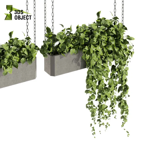 3d model plant hanging free Botanical Models pothos devil's ivy 3D Hanging Vegetation Plant Models Foliage Assets Botanical Models Greenery Assets Flora Objects Vine Models Garden Assets cinema 4d 3ds max blender enscape fbx obj Rhino Sketchup lumion purchase low poly