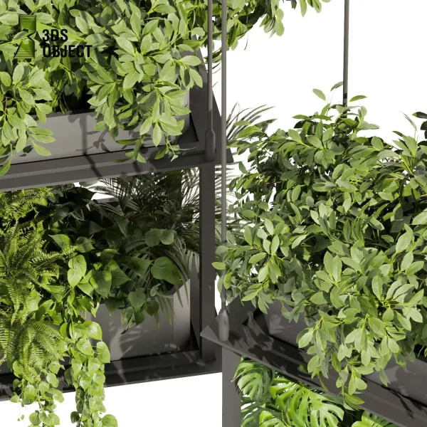 3d model plant hanging free Botanical Models bush banana palm pothos monstera Plant Visualization Garden Design Software Plant Modeling Botanical Rendering Plant Creation Digital Hanging Plants cinema 4d 3ds max blender enscape fbx obj Rhino Sketchup lumion purchase low poly