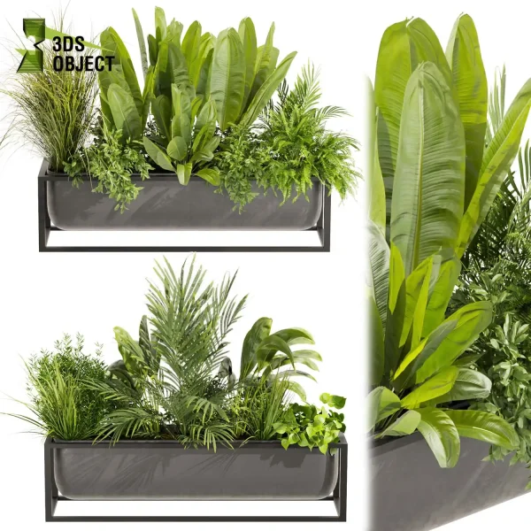 3d model plant free Vegetation tree box Foliage Banana grass palm pothos fern Plant Generator Vegetation Rendering Plant Simulation Virtual Botany Ecological Simulation Digital Horticulture Plant Design Software low poly cinema 4d 3ds max blender enscape fbx obj Rhino Sketchup lumion