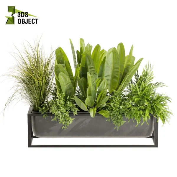 3d model plant free Vegetation tree box Foliage Banana grass palm pothos fern Plant Generator Vegetation Rendering Plant Simulation Virtual Botany Ecological Simulation Digital Horticulture Plant Design Software low poly cinema 4d 3ds max blender enscape fbx obj Rhino Sketchup lumion