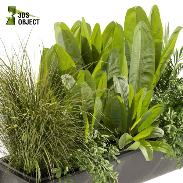 3d model plant free Vegetation tree box Foliage Banana grass palm pothos fern Plant Generator Vegetation Rendering Plant Simulation Virtual Botany Ecological Simulation Digital Horticulture Plant Design Software low poly cinema 4d 3ds max blender enscape fbx obj Rhino Sketchup lumion