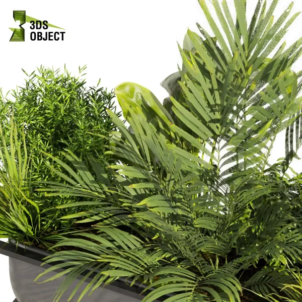 3d model plant free Vegetation tree box Foliage Banana grass palm pothos fern Plant Generator Vegetation Rendering Plant Simulation Virtual Botany Ecological Simulation Digital Horticulture Plant Design Software low poly cinema 4d 3ds max blender enscape fbx obj Rhino Sketchup lumion