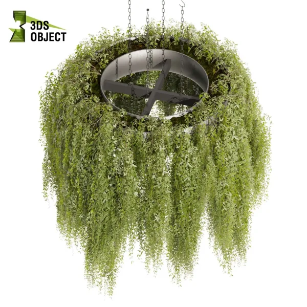 3d model plant hanging free Botanical Models bush banana palm pothos monstera Plant Visualization Garden Design Software Plant Modeling Botanical Rendering Plant Creation Digital Hanging Plants cinema 4d 3ds max blender fbx obj Rhino Sketchup lumion purchase ivy