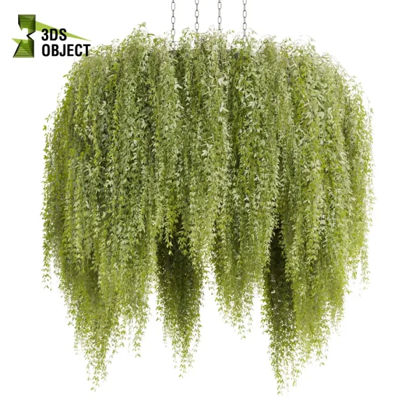 3d model plant hanging free Botanical Models bush banana palm pothos monstera Plant Visualization Garden Design Software Plant Modeling Botanical Rendering Plant Creation Digital Hanging Plants cinema 4d 3ds max blender fbx obj Rhino Sketchup lumion purchase ivy