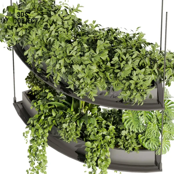 3d model plant hanging free Botanical Models bush peace lily pothos monstera 3D Plant Library Plant Design Software Plant Visualization Garden Design Software Plant Modeling Botanical