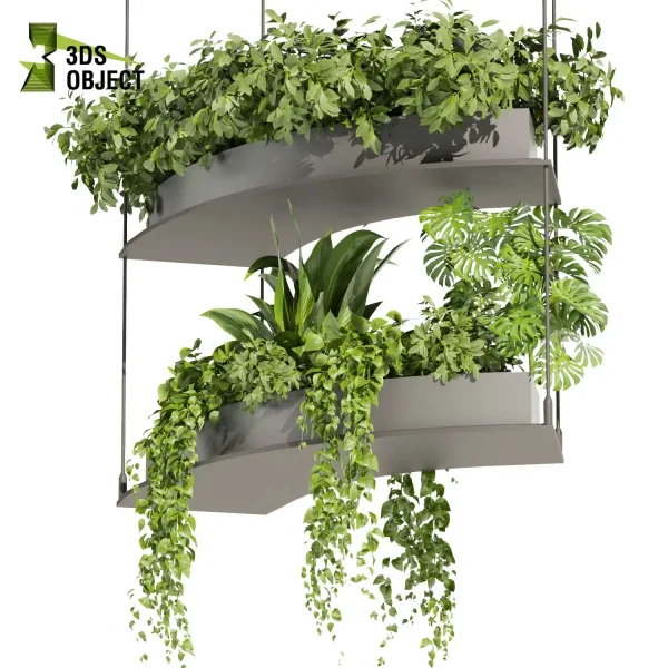 3d model plant hanging free Botanical Models bush peace lily pothos monstera 3D Plant Library Plant Design Software Plant Visualization Garden Design Software Plant Modeling Botanical