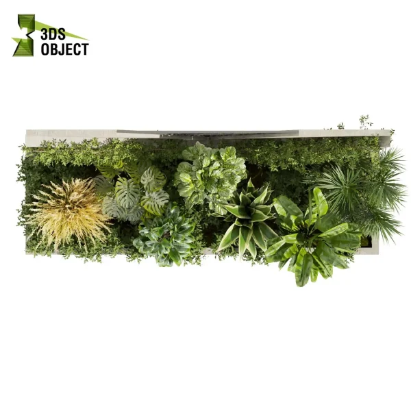 3d garden plant models botanical Visualization Landscape Foliage Vegetation Rendering Environment tree Design high poly Fiddle pampas banana dracena rubber cinema 4d 3ds max blender enscpae fbx obj Rhino Sketchup lumion