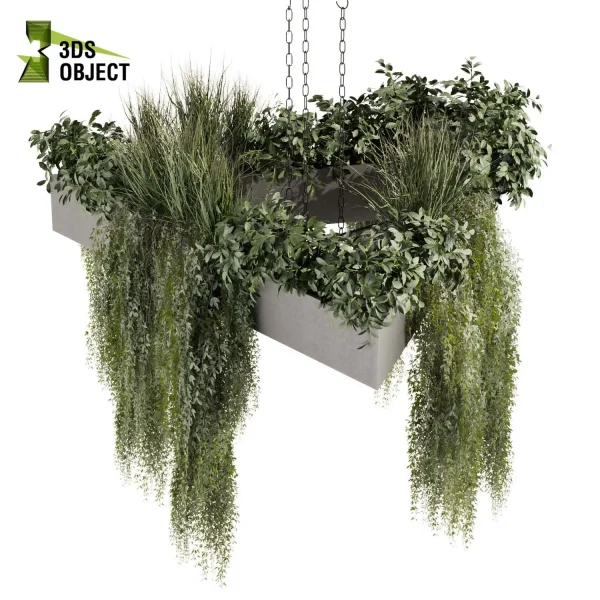bush grass ivy 3d model plant hanging free Botanical Models 3D Plant Library Plant Design Software Plant Visualization Garden Design Software Plant Modeling Botanical Rendering Plant Creation Digital Hanging Plants cinema 4d 3ds max blender enscape fbx obj Rhino Sketchup lumion purchase