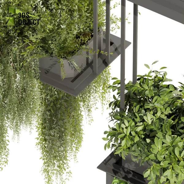 3d model plant hanging free Botanical Models Bush peace lily palm monstera grass architectural visualization Digital Landscaping 3D Plant Creation Virtual Garden Design Simulation Vegetation Modeling tree cinema 4d 3ds max blender enscape fbx obj Rhino Sketchup lumion