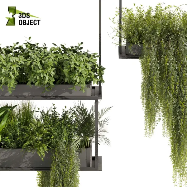 3d model plant hanging free Botanical Models Bush peace lily palm monstera grass architectural visualization Digital Landscaping 3D Plant Creation Virtual Garden Design Simulation Vegetation Modeling tree cinema 4d 3ds max blender enscape fbx obj Rhino Sketchup lumion