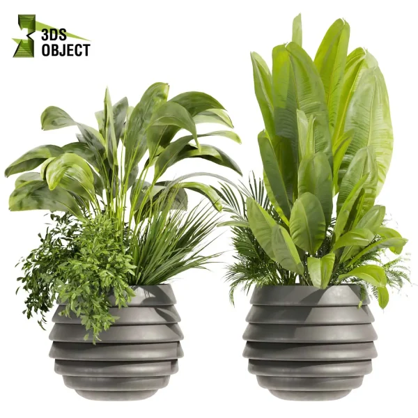 3d model plant pot free Banana palm bush fern houseplant lumion visualization cinema 4d 3ds max blender