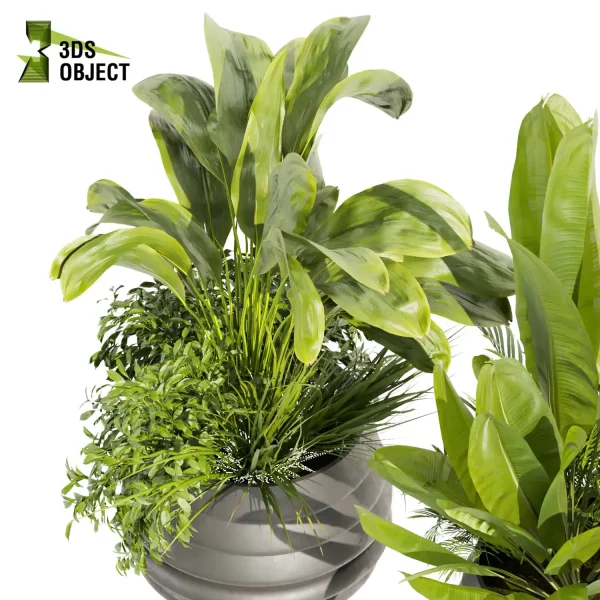 3d model plant pot free Banana palm bush fern houseplant lumion visualization cinema 4d 3ds max blender