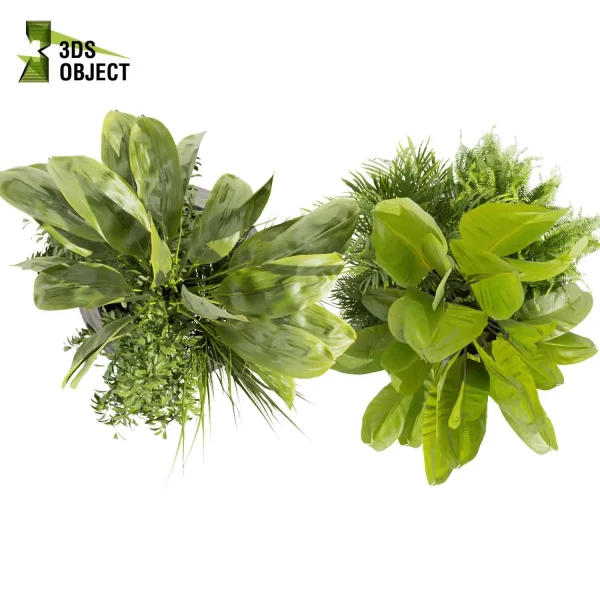 3d model plant pot free Banana palm bush fern houseplant lumion visualization cinema 4d 3ds max blender