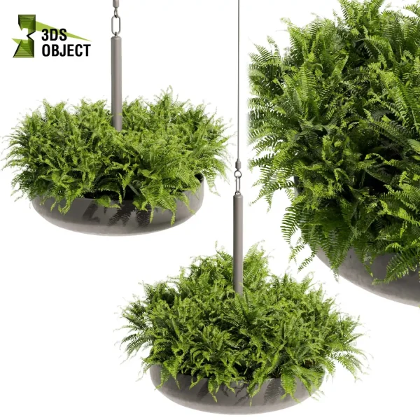 3d model plant hanging free Botanical Models fern architectural visualization Digital Landscaping 3D Plant Creation Virtual Garden Design Simulation Vegetation Modeling cinema 4d 3ds max blender enscape fbx obj Rhino Sketchup lumion Greenery Assets Flora Objects Tree low poly purchase